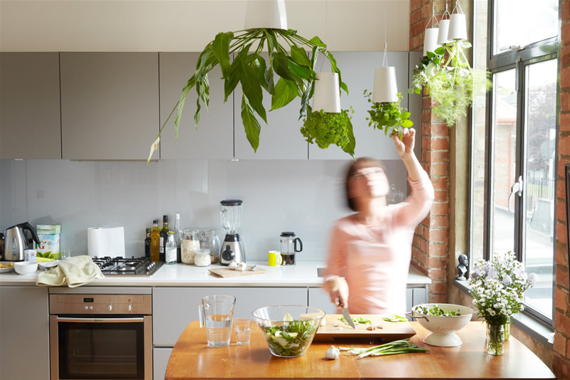 Read more about the article Eco-Friendly Smart Kitchen Decor Ideas with Energy-Saving Devices