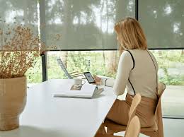 Read more about the article Voice-Controlled Smart Kitchen Blinds: The Future of Convenience and Efficiency